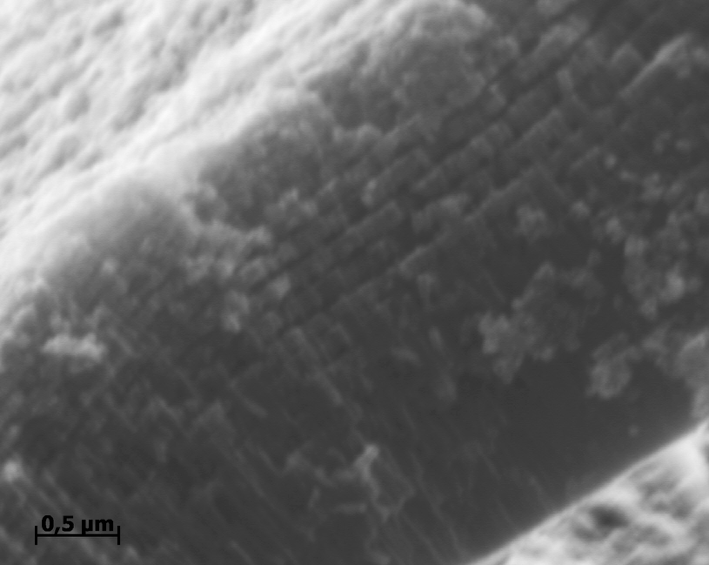 Микроморфология слоистой пленки анодного оксида титана