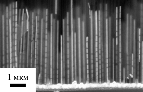 Микрофотография нанокомпозита на основе анодного оксида алюминия, содержащего сегментированные нанонити Au/Ni